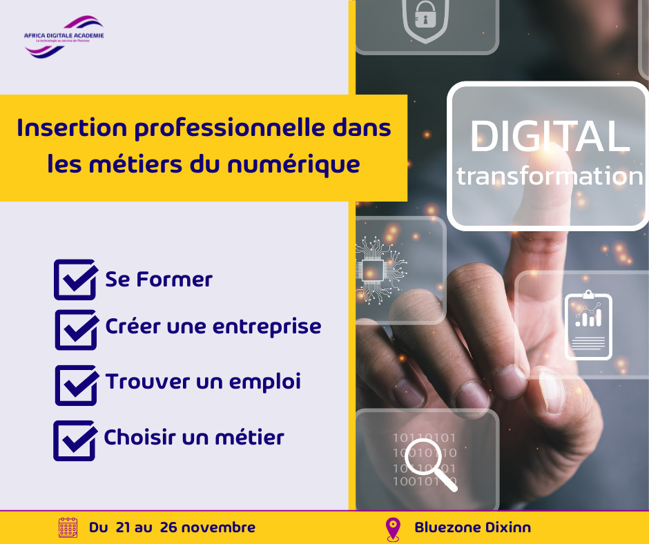Insertion métiers du numérique en Guinée